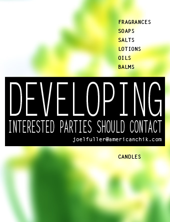 DEVELOPING - INTERESTED PARTIES SHOULD CONTACT joelfuller@americanchik.com