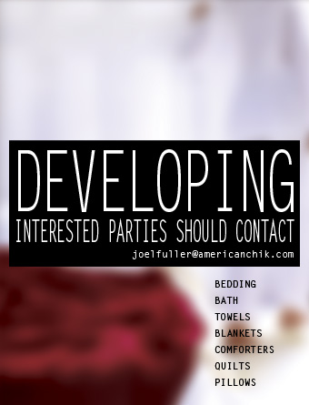DEVELOPING - INTERESTED PARTIES SHOULD CONTACT joelfuller@americanchik.com